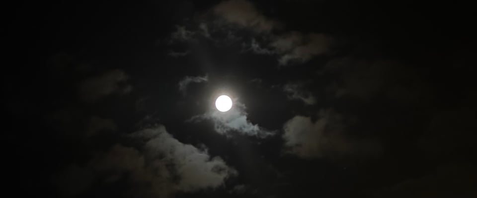 Gallery photo 170
